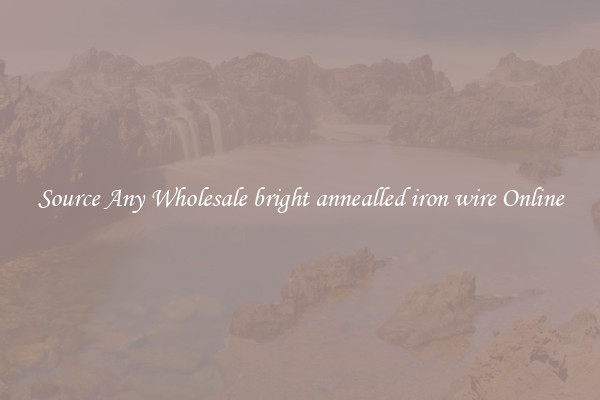 Source Any Wholesale bright annealled iron wire Online