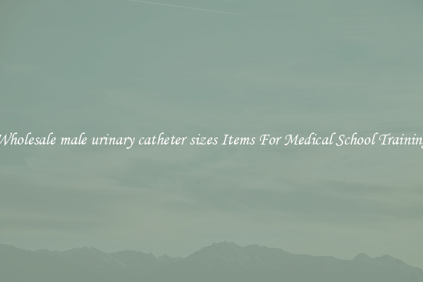 Wholesale male urinary catheter sizes Items For Medical School Training