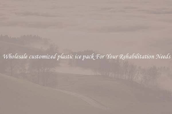 Wholesale customized plastic ice pack For Your Rehabilitation Needs
