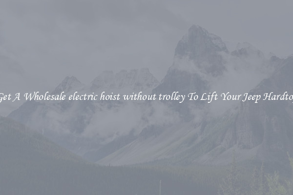 Get A Wholesale electric hoist without trolley To Lift Your Jeep Hardtop