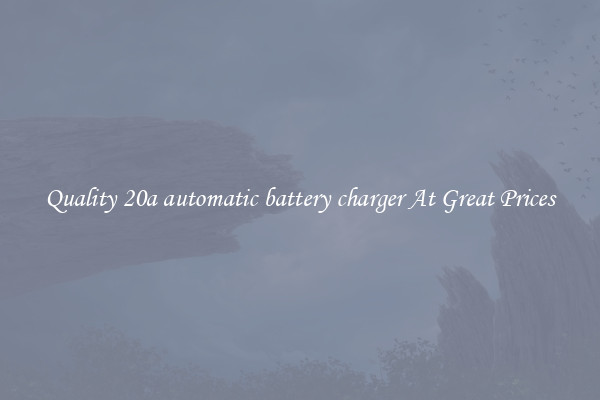 Quality 20a automatic battery charger At Great Prices