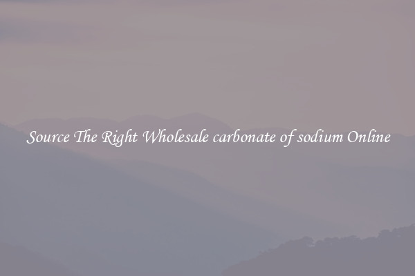 Source The Right Wholesale carbonate of sodium Online
