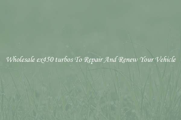 Wholesale ex450 turbos To Repair And Renew Your Vehicle