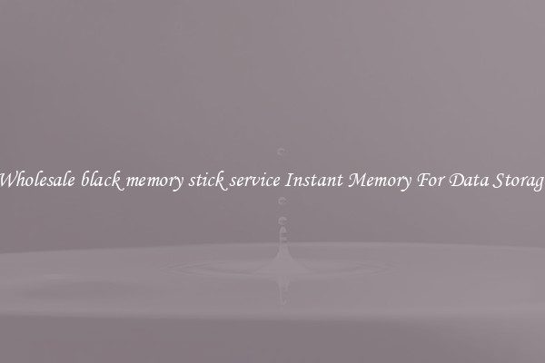 Wholesale black memory stick service Instant Memory For Data Storage