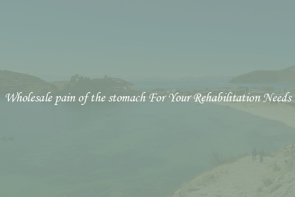 Wholesale pain of the stomach For Your Rehabilitation Needs