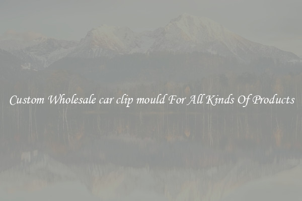Custom Wholesale car clip mould For All Kinds Of Products