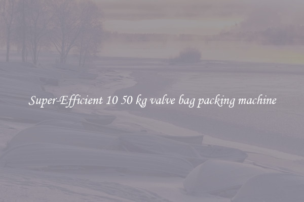 Super-Efficient 10 50 kg valve bag packing machine