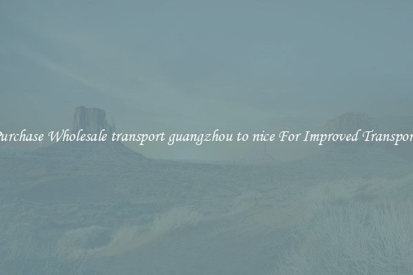 Purchase Wholesale transport guangzhou to nice For Improved Transport 