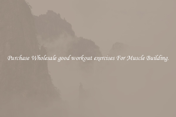 Purchase Wholesale good workout exercises For Muscle Building.