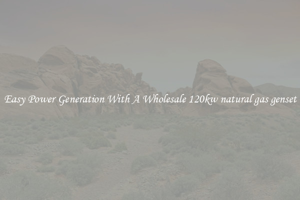 Easy Power Generation With A Wholesale 120kw natural gas genset