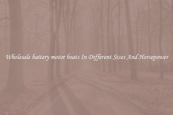Wholesale battery motor boats In Different Sizes And Horsepower