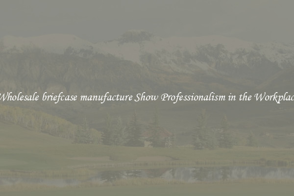 Wholesale briefcase manufacture Show Professionalism in the Workplace