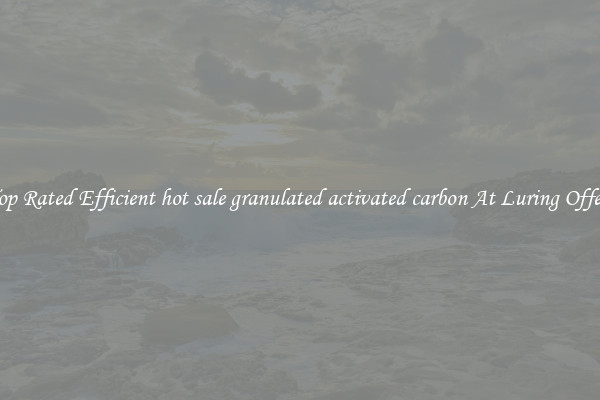 Top Rated Efficient hot sale granulated activated carbon At Luring Offers