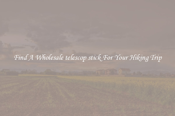 Find A Wholesale telescop stick For Your Hiking Trip