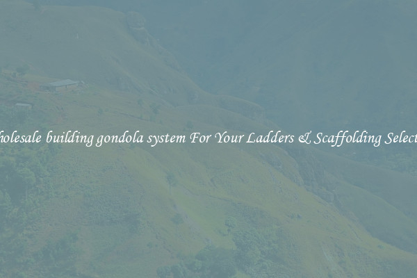Wholesale building gondola system For Your Ladders & Scaffolding Selection