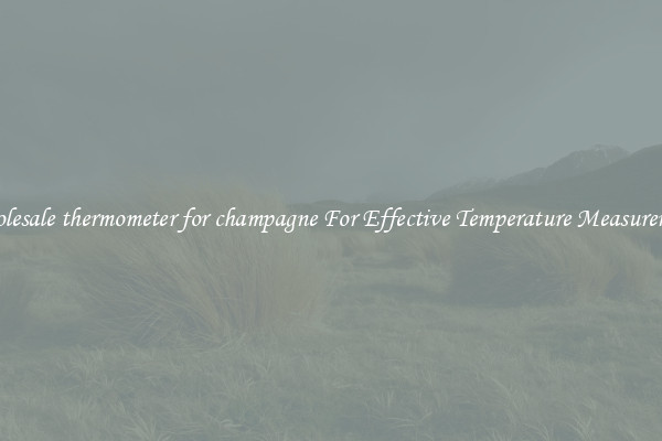Wholesale thermometer for champagne For Effective Temperature Measurement