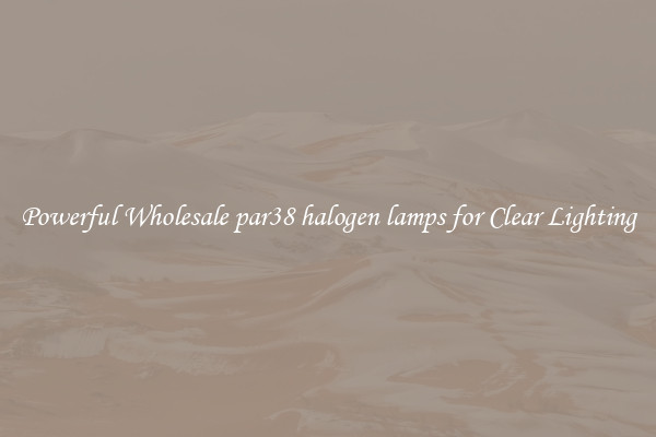 Powerful Wholesale par38 halogen lamps for Clear Lighting