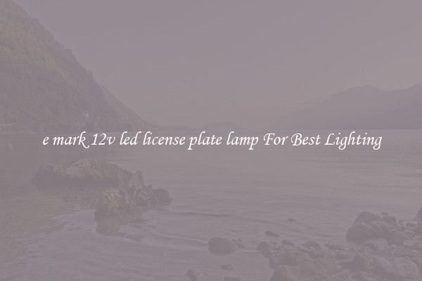 e mark 12v led license plate lamp For Best Lighting