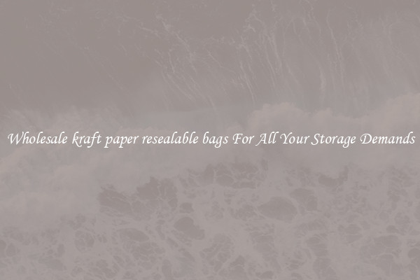 Wholesale kraft paper resealable bags For All Your Storage Demands