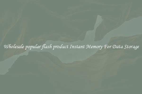 Wholesale popular flash product Instant Memory For Data Storage