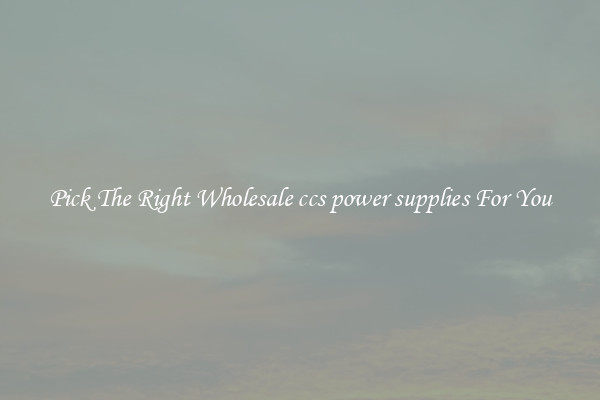 Pick The Right Wholesale ccs power supplies For You